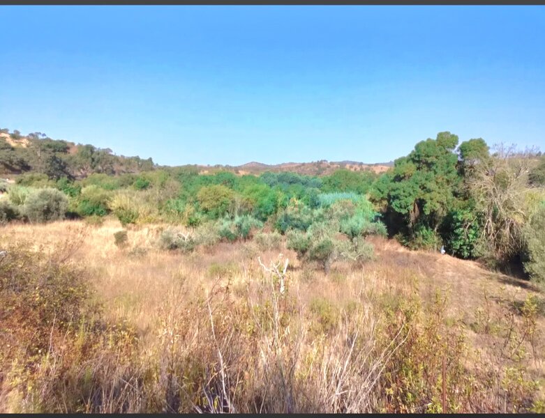 Land with 1560sqm São Bartolomeu de Messines Silves - arable crop, water, good access, electricity, well
