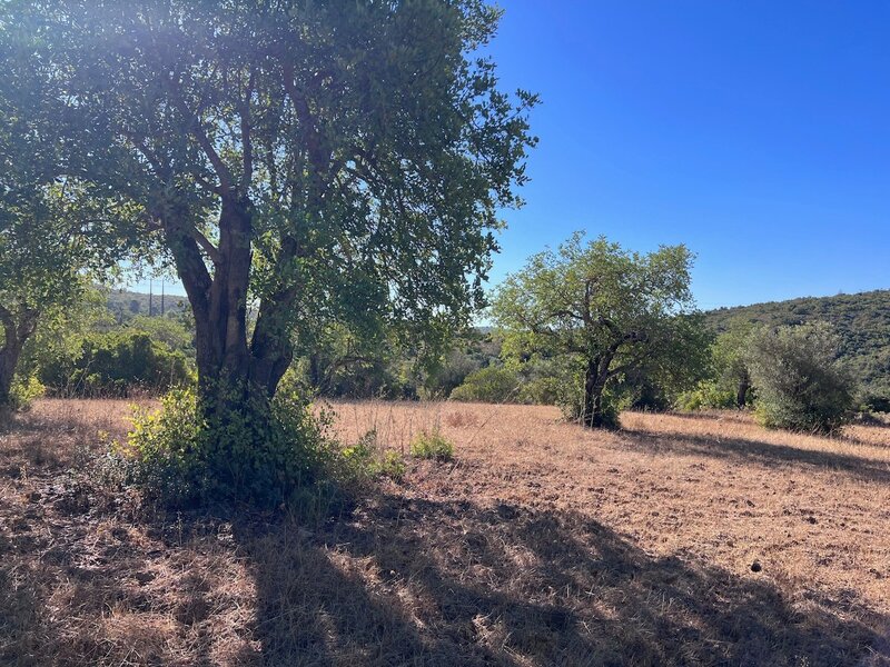 Land Rustic with 5960sqm Paderne Albufeira