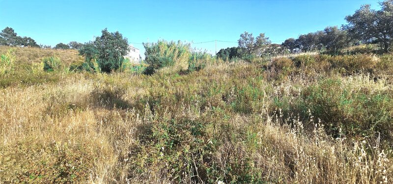 Terreno Rústico com 5810m2 Pêra Silves - água da rede, sobreiros, luz, cultivo agrícola, excelente vista, viabilidade de construção, oliveiras