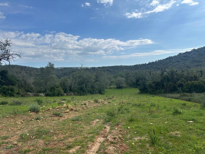 Land Rustic flat Paderne Albufeira - great location, solar panels, olive trees, electricity, water hole, water