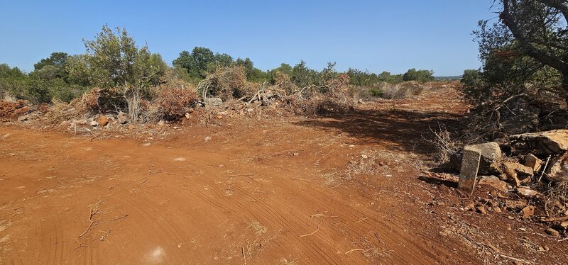 Land with 7120sqm Foral São Bartolomeu de Messines Silves - good access