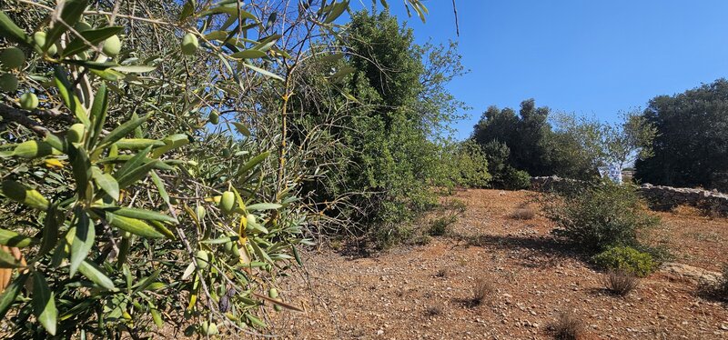 Land with 10160sqm Centieira Paderne Albufeira - water, electricity, mains water, good access