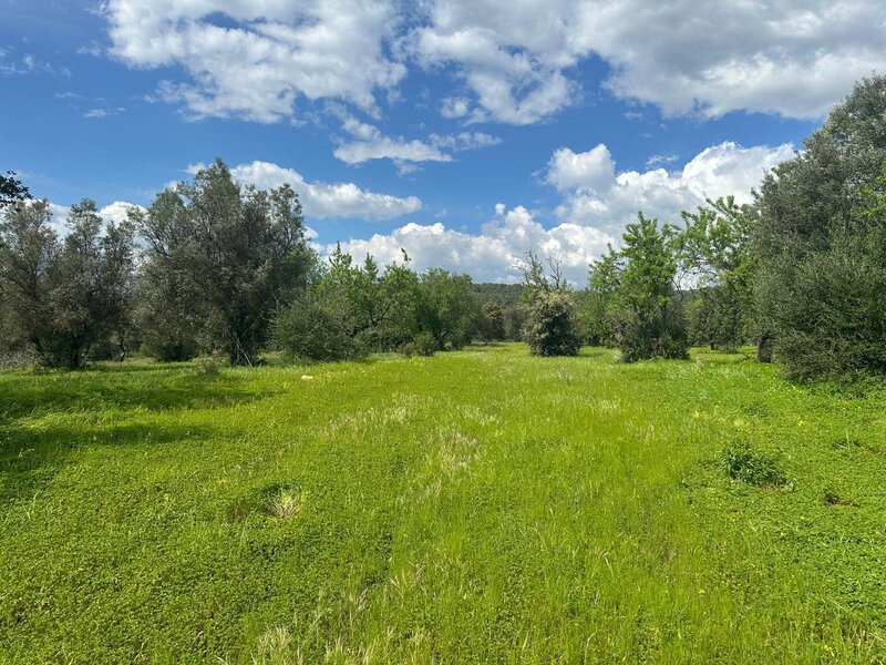 Land flat Paderne Albufeira - good access