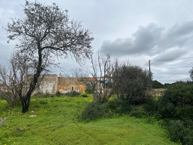Land Agricultural for construction Quinta do Rogel Alcantarilha Silves - great location
