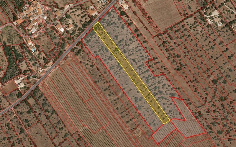 Land Agricultural with 9600sqm São Bartolomeu de Messines Silves - water, olive trees, electricity