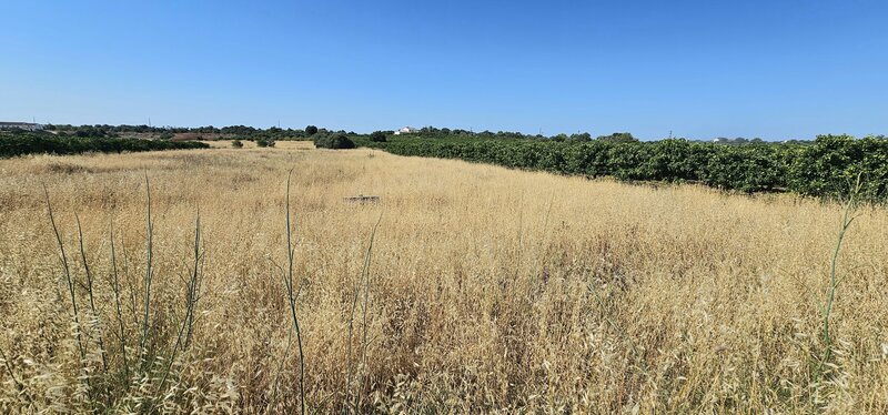 Land with 1780sqm São Bartolomeu de Messines Silves - water, electricity