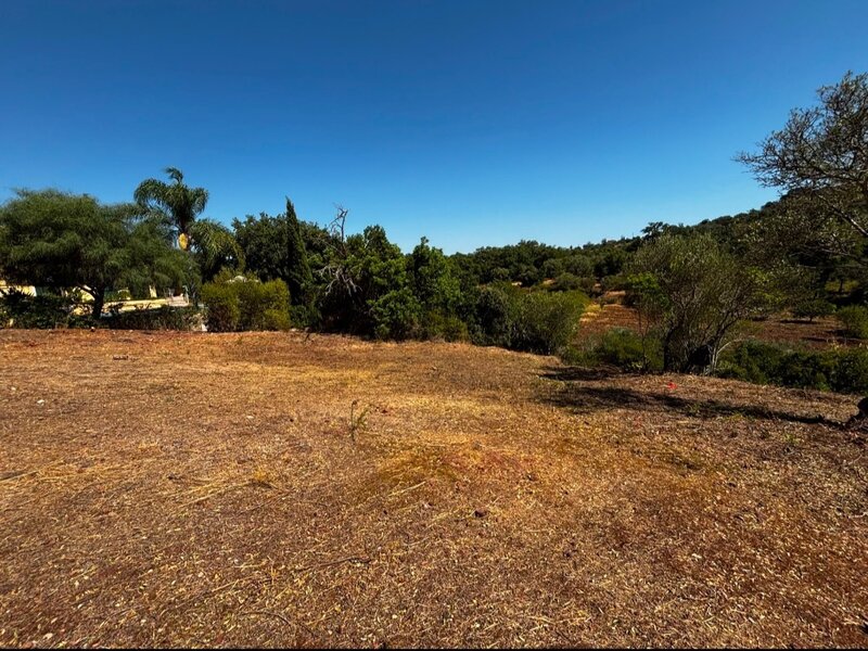 Land with 1060sqm Juncais São Brás de Alportel