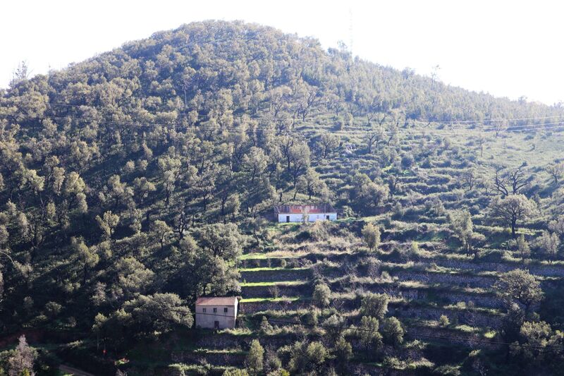 Quinta V0 Monchique - água, terraços