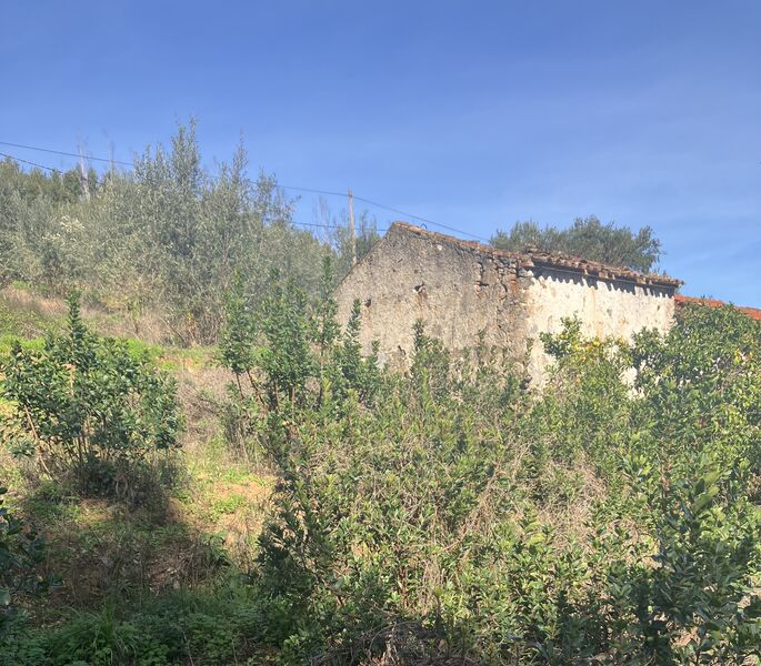 Quinta V0 com casa Monchique - oliveiras, árvores de fruto, água