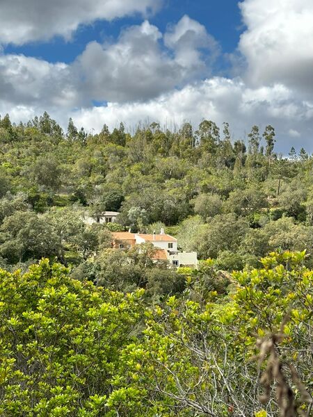 Chácara/Sítio/Fazenda V0 Monchique - sobreiros, laranjeiras, árvores de fruto, água, poço, vista magnífica, painéis solares, oliveiras