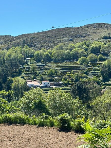 Chácara/Sítio/Fazenda V0 Monchique - laranjeiras, água, árvores de fruto