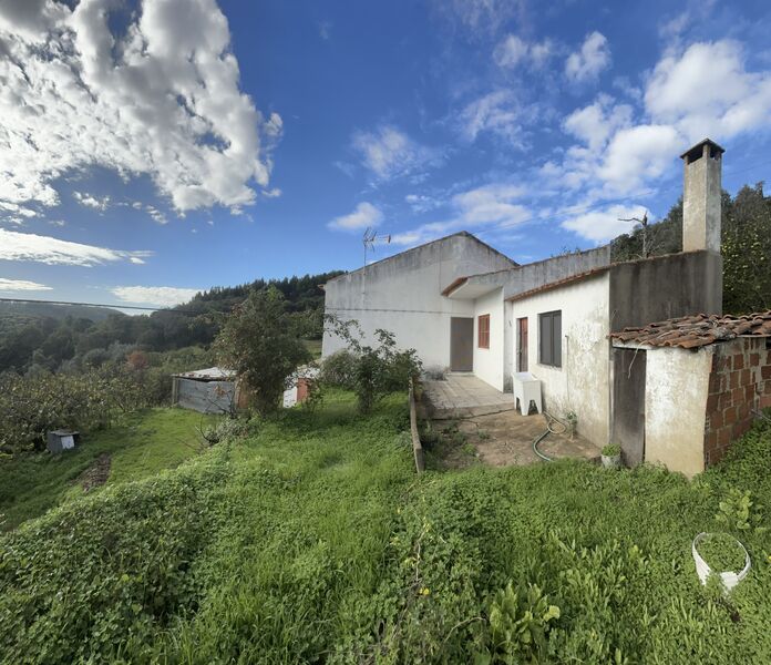 Quinta V0 Monchique - luz, água, árvores de fruto