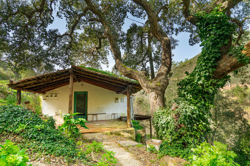 Farm 3 bedrooms Monchique