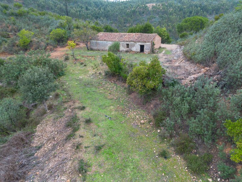 Farm 0 bedrooms Monchique