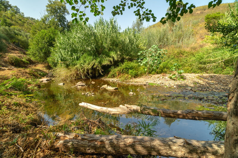 Land with 9346sqm Alferce Monchique