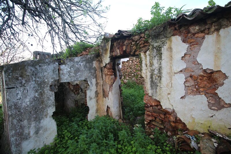 1 bedroom House in Loulé