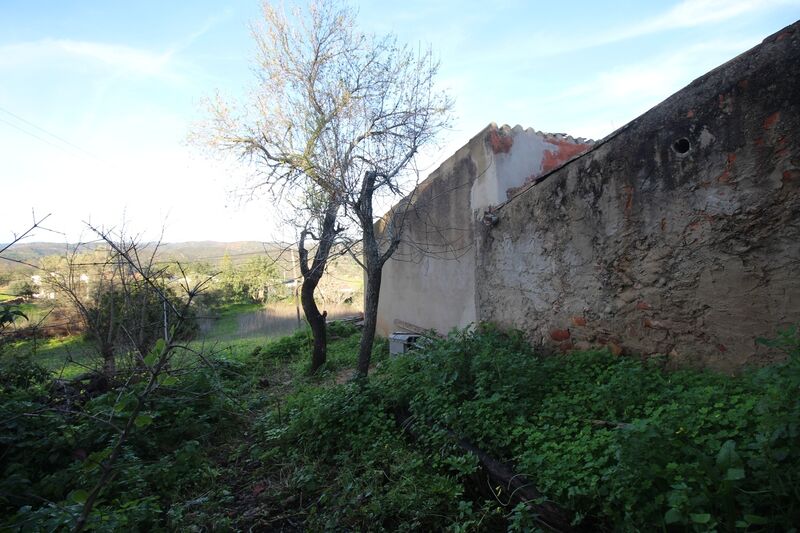 Ruína Geminada no centro V1 Cerro Alte Loulé - quintal