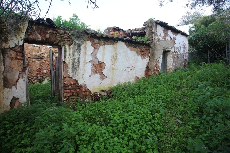 1 bedroom House in Loulé