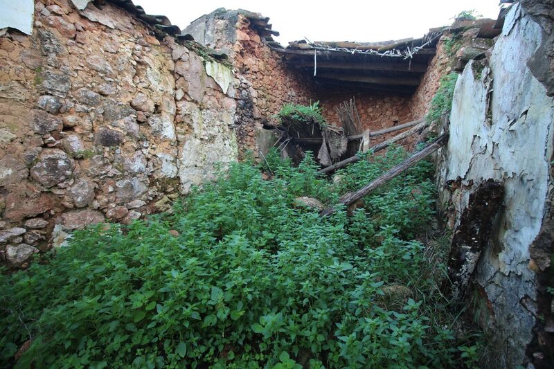 1 bedroom House in Loulé