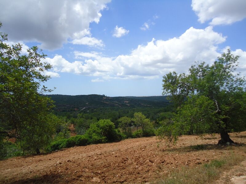 Terreno Rústico com 2440m2 Monte Novo Paderne Albufeira - água, vista mar