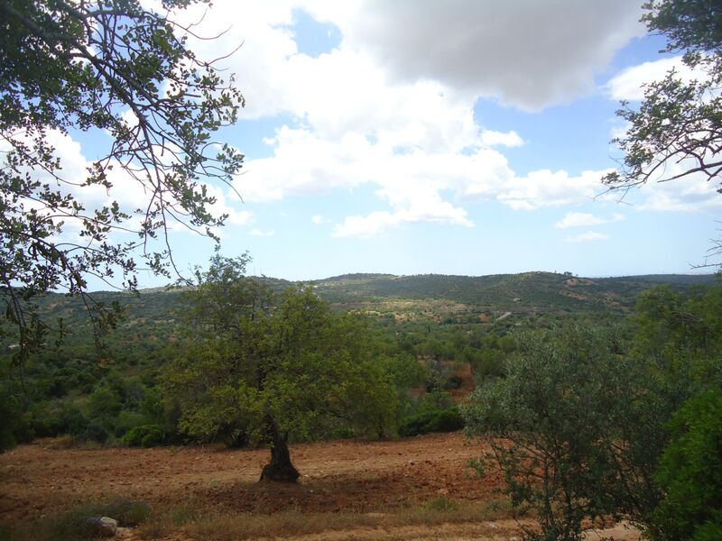 Lote de Terreno com 2 440 m²  em Albufeira