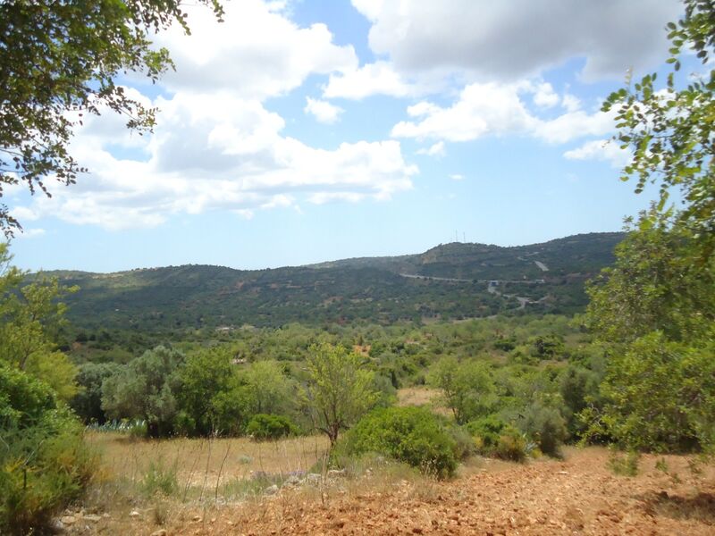 2 440 m²  Land plot in Albufeira