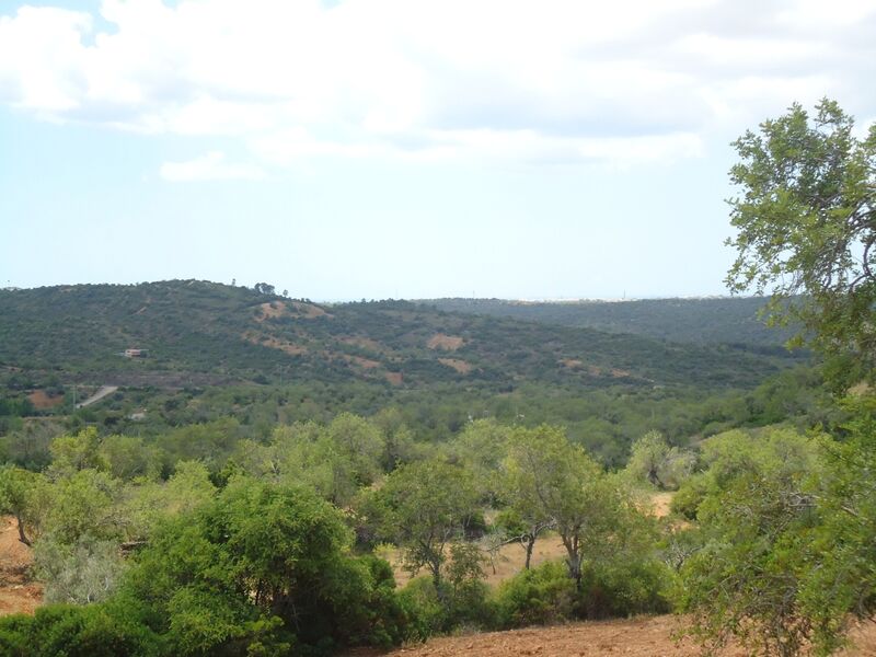 2 440 m²  Land plot in Albufeira