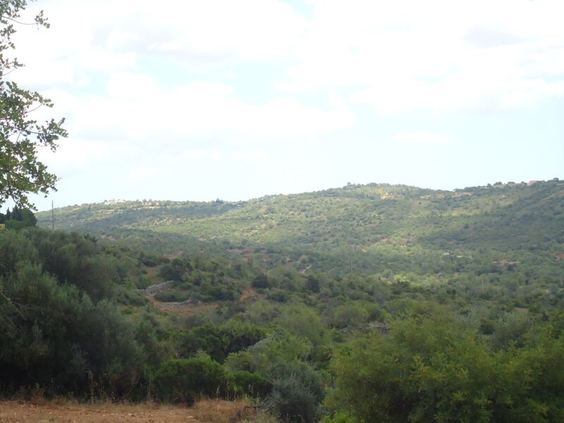 2 440 m²  Land plot in Albufeira