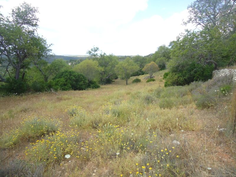 2 440 m²  Land plot in Albufeira