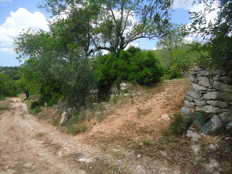 Lote de Terreno com 2 440 m²  em Albufeira