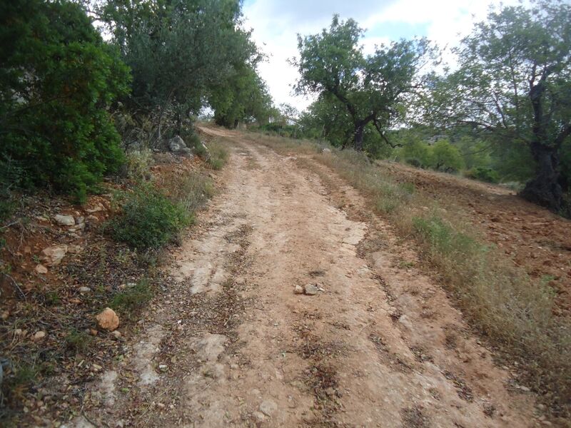 2 440 m²  Land plot in Albufeira