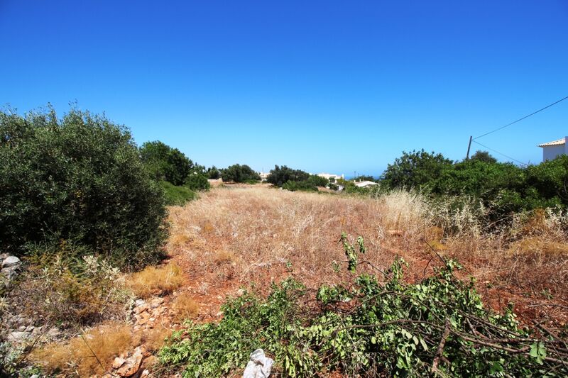 9 540 m²  Land plot with swimming pool in Albufeira