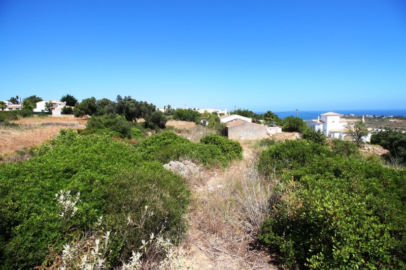 9 540 m²  Land plot with swimming pool in Albufeira