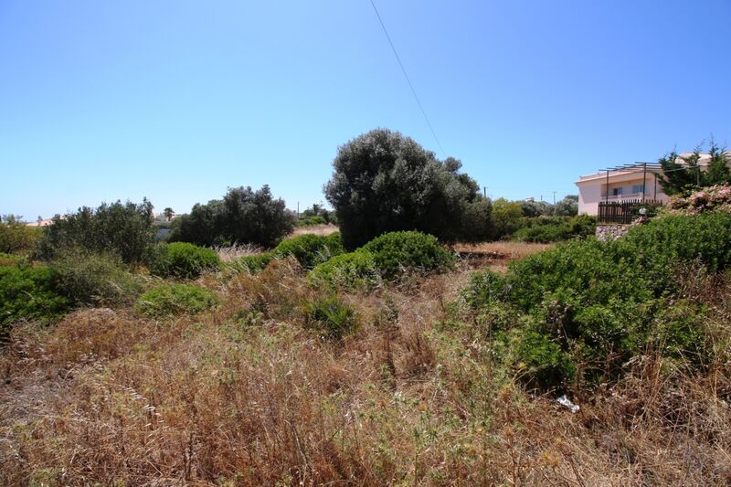 9 540 m²  Land plot with swimming pool in Albufeira