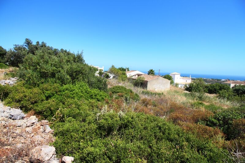 9 540 m²  Land plot with swimming pool in Albufeira