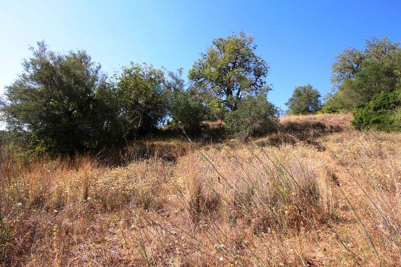 5 000 m²  Land plot in Silves