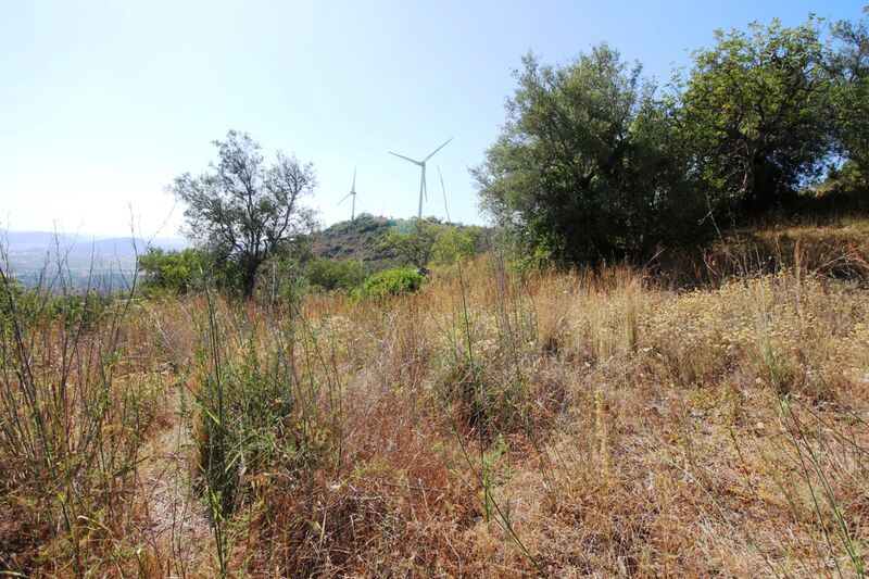 5 000 m²  Land plot in Silves