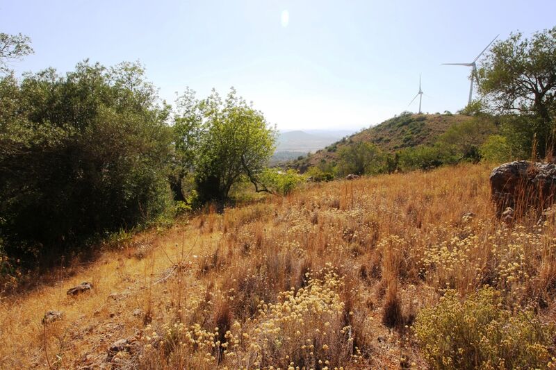 Land Rustic with 5000sqm Pico Alto São Bartolomeu de Messines Silves