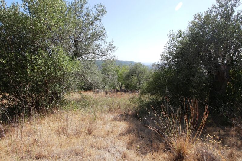 5 000 m²  Land plot in Silves