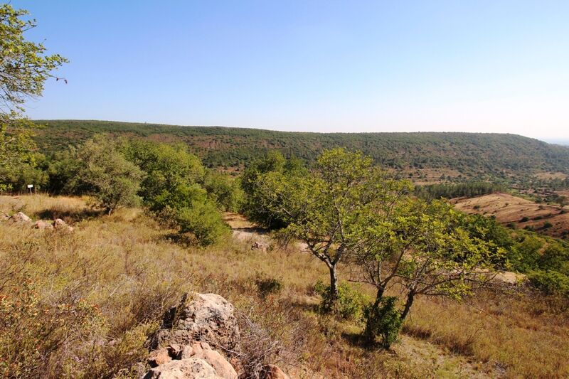 5 000 m²  Land plot in Silves