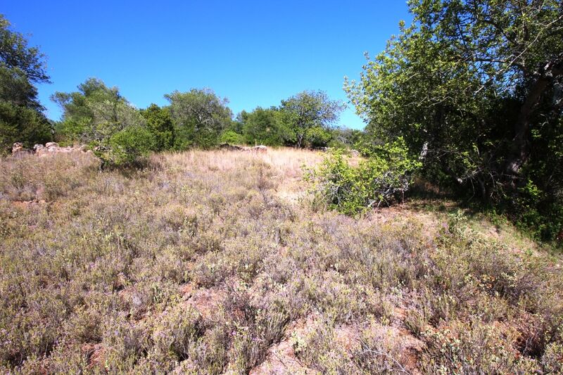 5 000 m²  Land plot in Silves