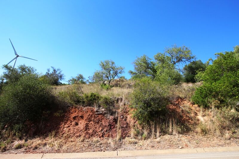 Lote de Terreno com 5 000 m²  em Silves