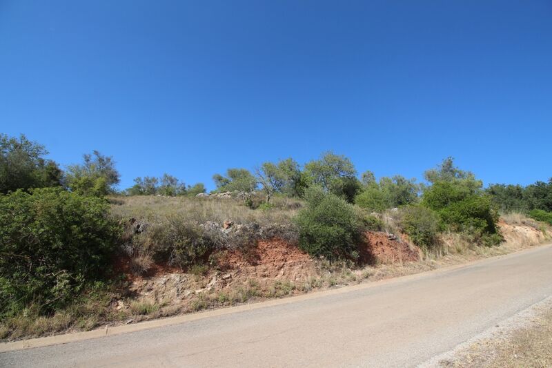 5 000 m²  Land plot in Silves