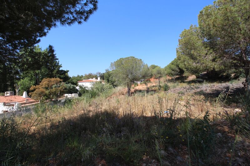 Lote de Terreno com 5 198 m²  em Albufeira