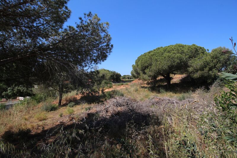 5 198 m²  Land plot in Albufeira