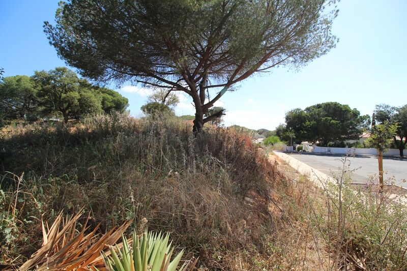 Lote de Terreno com 5 198 m²  em Albufeira