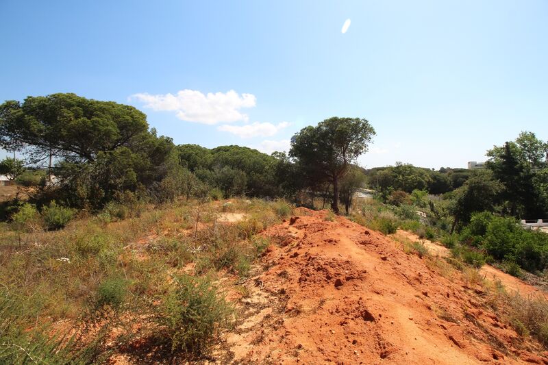 5 198 m²  Land plot in Albufeira