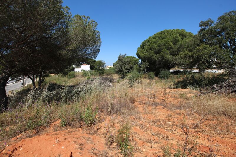 Lote de Terreno com 5 198 m²  em Albufeira