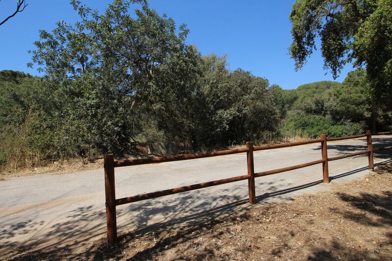 3 817 m²  Land plot in Albufeira