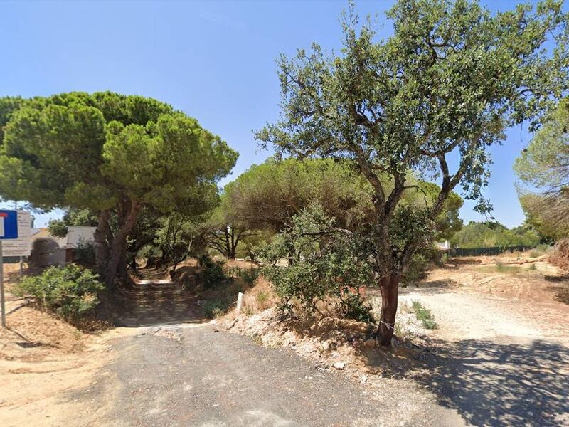 4 959 m²  Land plot in Albufeira